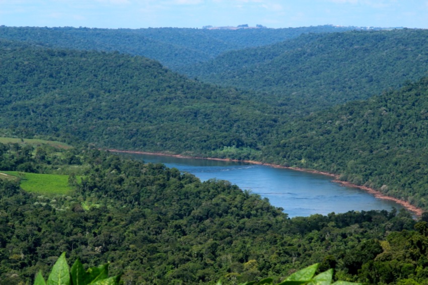 Green forest landscape with a river running through the hills