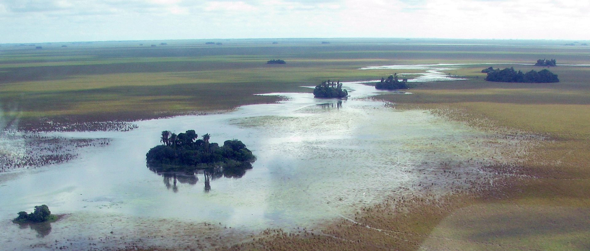 Isolated palm islands in the Barba Azul Nature Reserve