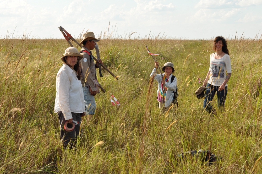 An entomoligical study by Caroli Hamel with volunteer Marta Vailez, and reserve guard Rene Cartegena in the Beni Savanna