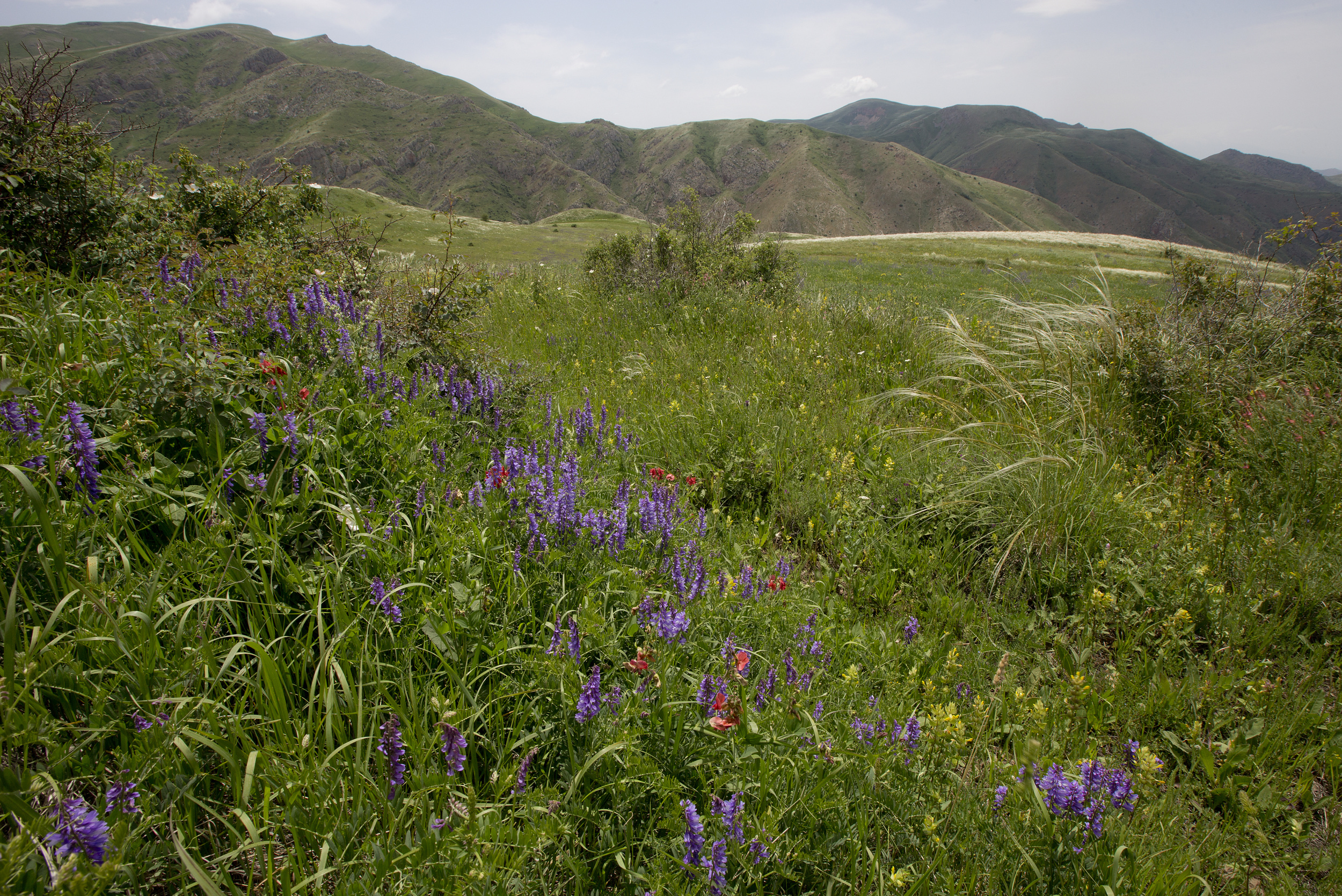 Armenia - - David Bebber