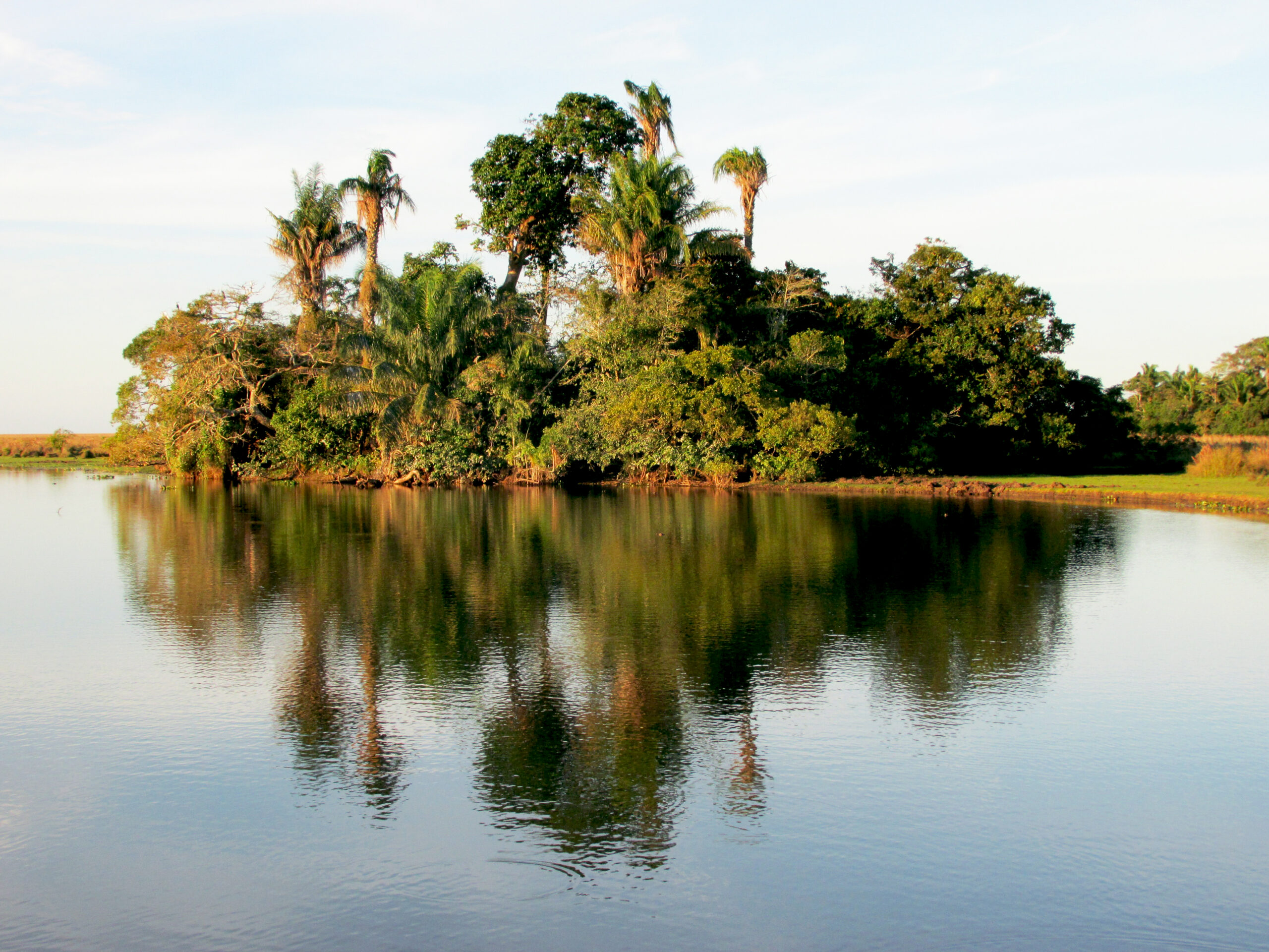 A forest island in the Barba Azul Nature Reserve