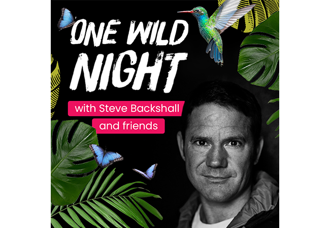 One Wild Night