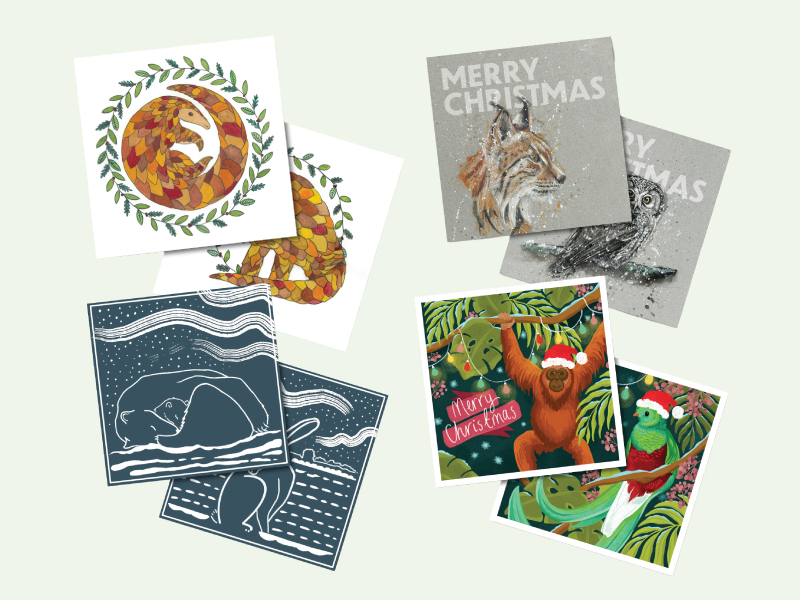 Christmas Cards