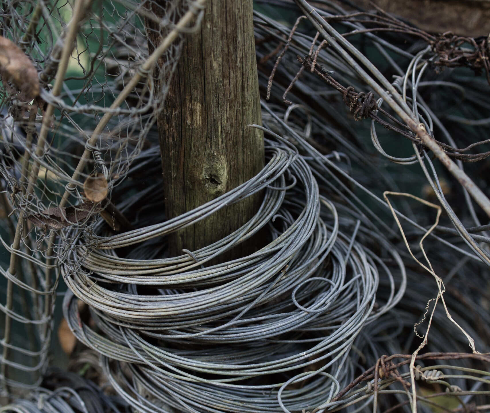 A stack of confiscated snares from Ukuwela Reserve in South Africa. Credit: Chantelle Melzer.
