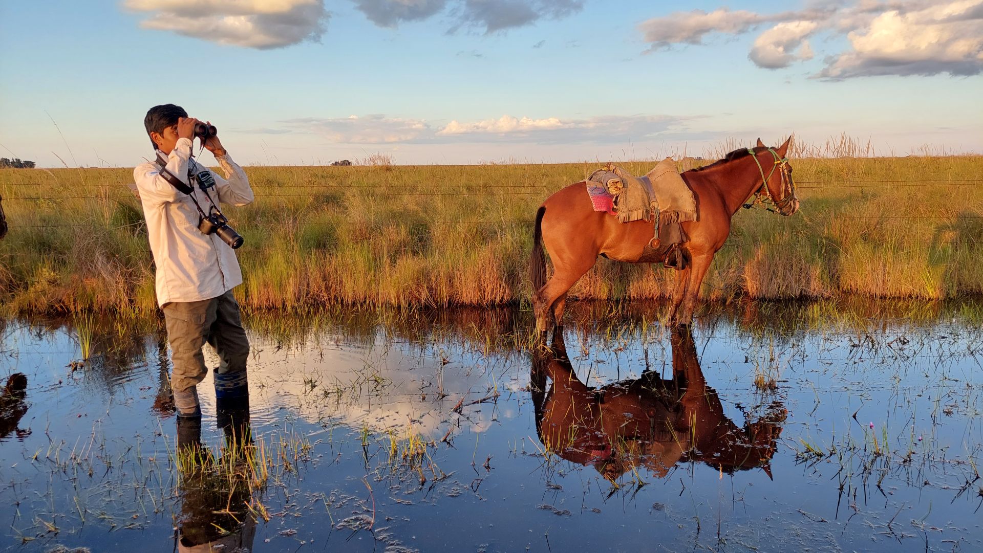 A ranger standing in water with binoculars during the wet season at Bolivia's Beni Savanna.
