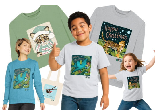 Christmas Clothing