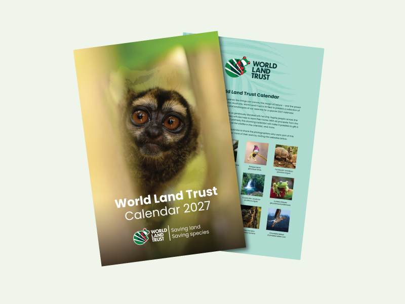 WLT Calendar 2027